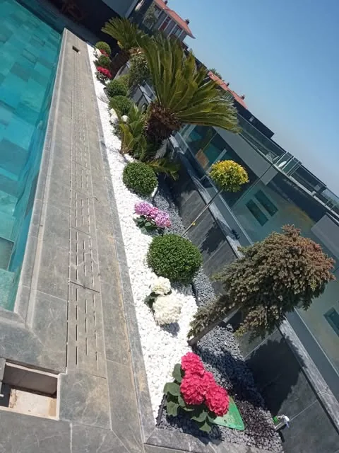 Havuz kenarında bitkilendirme ve taş zemin uygulaması